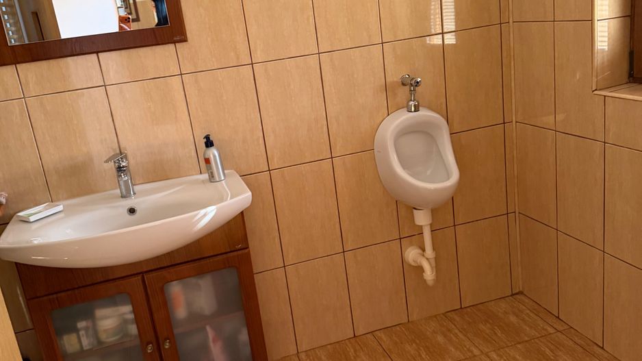 Casa individuala Dumbrăvița - Poză 11
