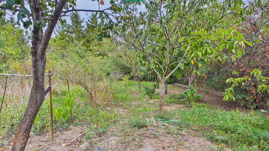 Casă modestă cu 3 camere în Aradul Nou - Poză 13