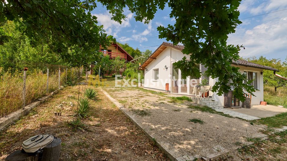 Doua CASE in aceeasi curte–BABANA, ARGEȘ | 1.485 MP TEREN - Poză 22