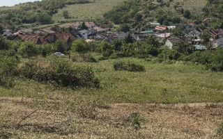 Teren de vanzare, 10.000 mp Oncea aproape de Blue Sky - Poză 2