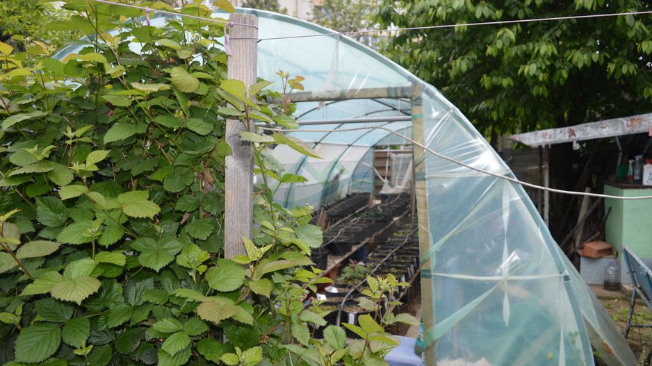 Casă tip duplex Suceava/Cartier Zamca Bloc 4 apartamente/Clinica - Poză 75