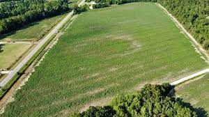 Teren de Vânzare în Bascov, Județul Argeș – Investiția Perfectă - Poză 1