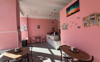 EXCLUSIVITATE: Afacere la cheie, zona Independentei!!!! - Poză 2