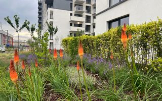 Apartament 3 camere premium  Silk District - Poză 37