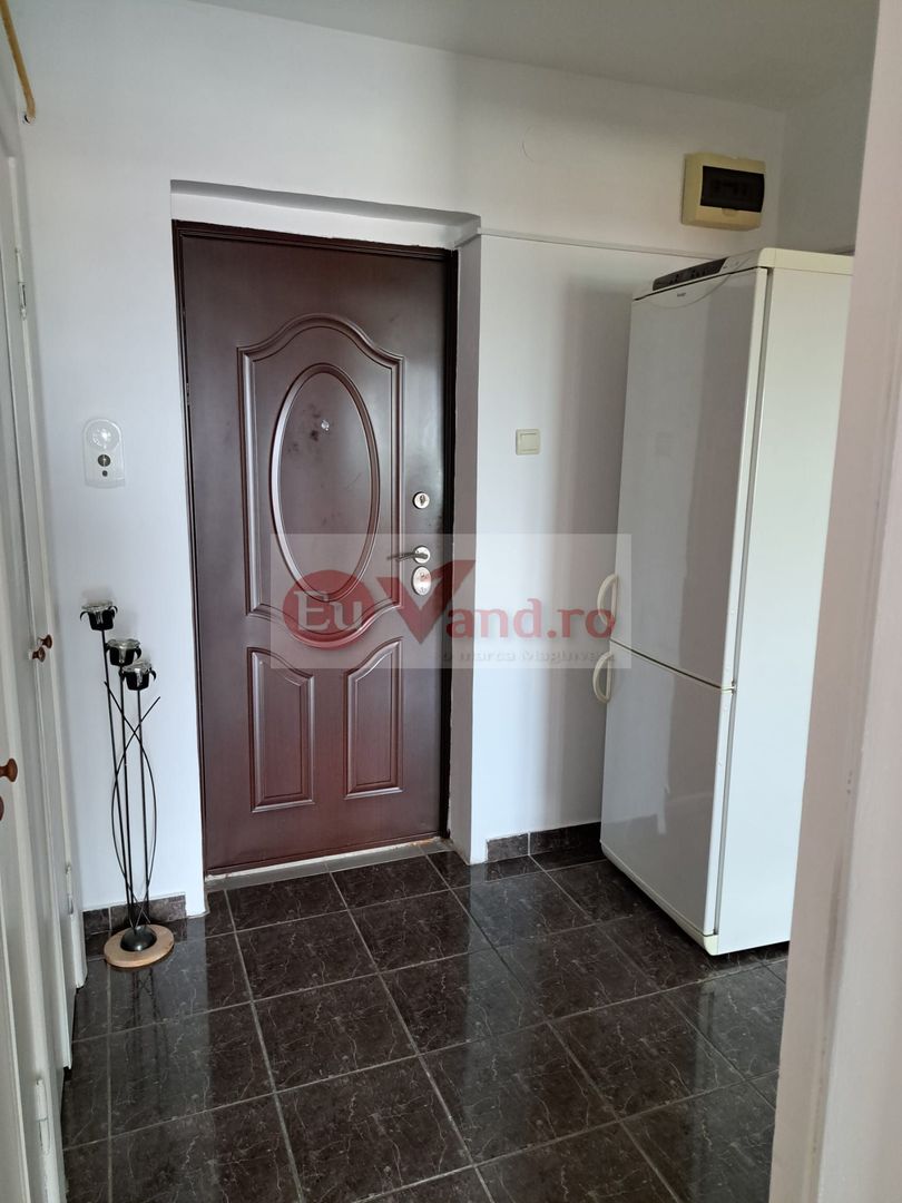 De inchiriat - apartament cu o camera, Gara, mobilat si utilat - 300 euro - Poză 8