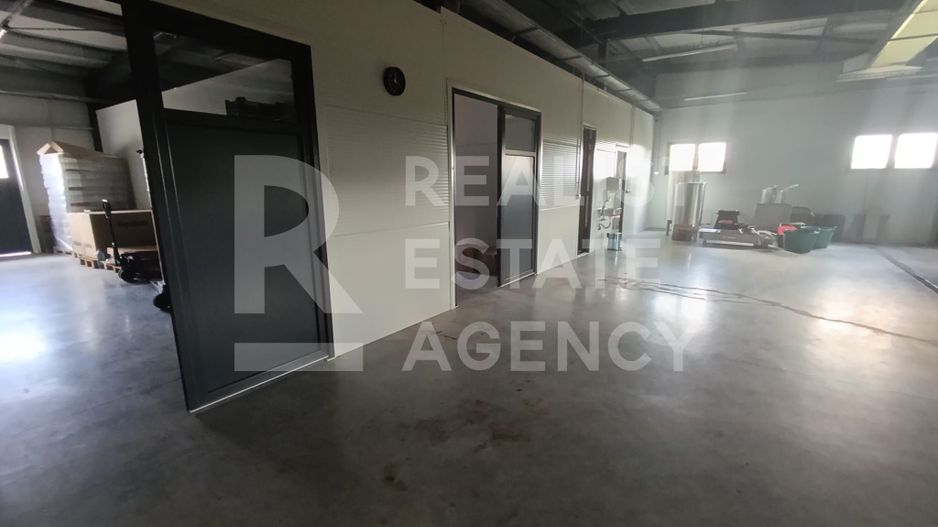 Spațiu comercial, producere+plantație de aronie, Timiș - Poză 4