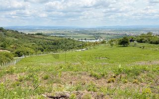 Teren 9461 mp cu panorama in Cartierul Podgoria din Oradea - Poză 8
