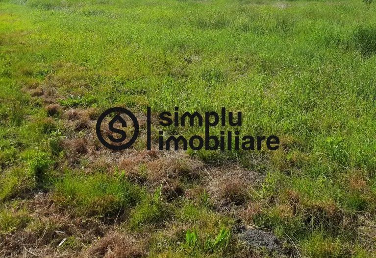 Teren 2400 mp, Simnicu de Sus - Poză 3