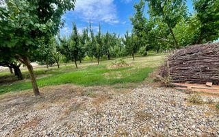 Casa cu 4 camere si livada la 25 km de Oradea - Poză 16