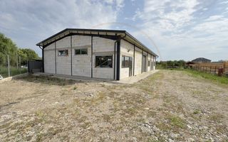 Inchiriere Hală Producție/Depozitare 300 mp, Teren 1791 mp - Carei - Poză 2