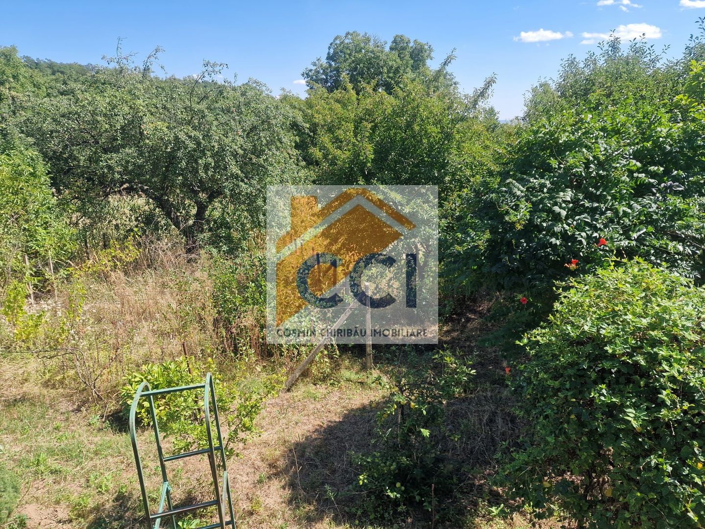 Casa in mediu rural cu teren - Poză 24