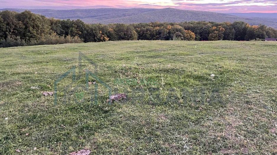 Teren Pietrarie, langa padure, vedere minunata, 1100 mp - Poză 1