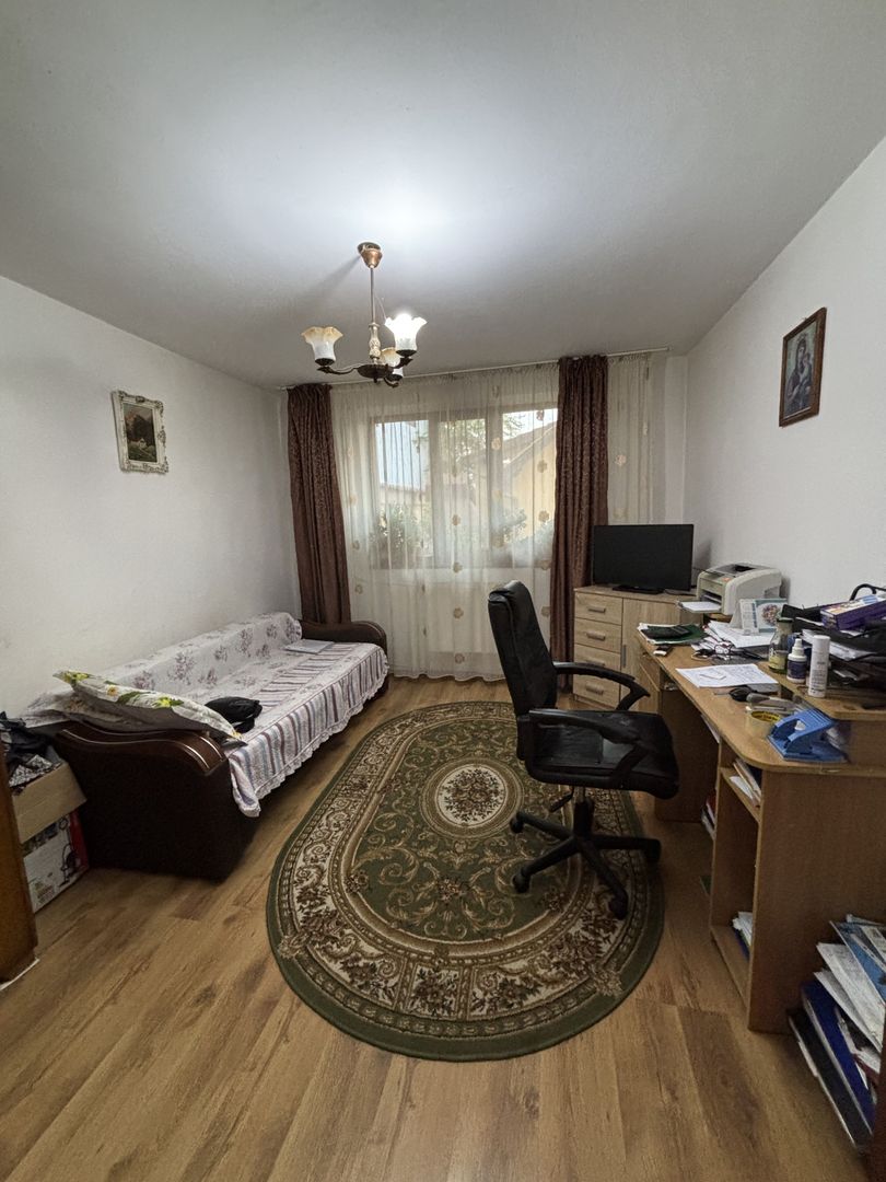 Casă P+1+M de vânzare în Rovine – zona Vasile Alecsandri/Nicolae Iorga - Poză 18