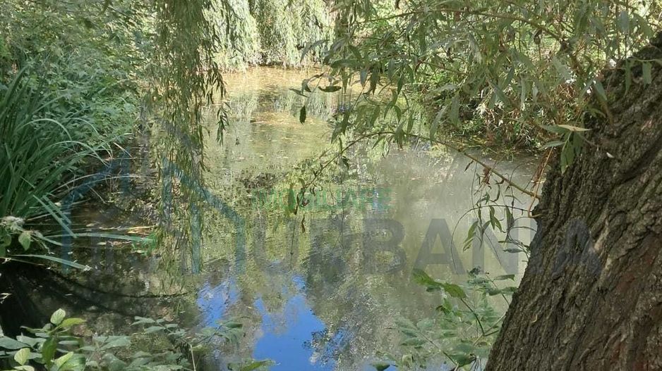 Domeniu de 7.500 mp cu casă bătrânească, anexe, livadă și iaz în Stolniceni-Prăjescu, Iași - Poză 7