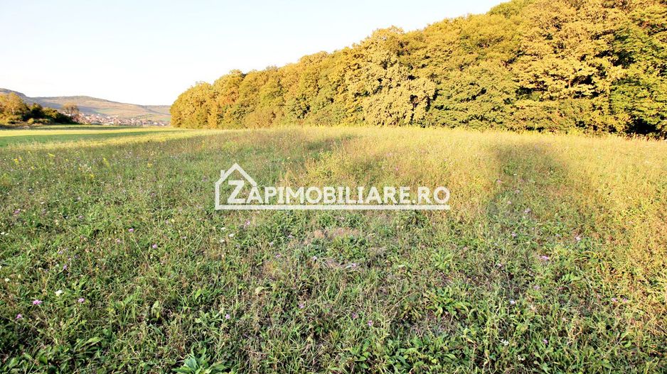 De vanzare 2 terenuri de 29.500 mp si 1.400 mp.29 euro mp - Poză 5