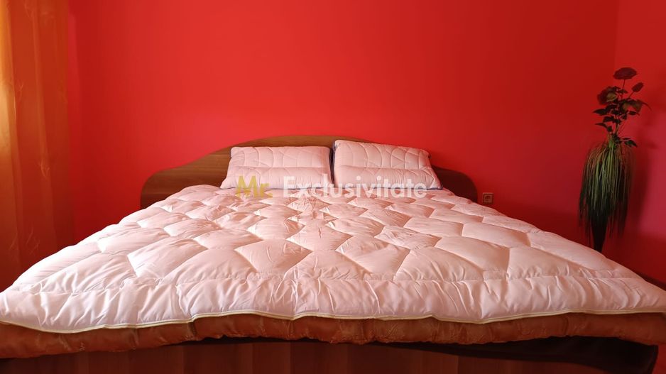 Vilă P+E de vânzare în Valea lui Mihai – 233 mp, teren 733 mp - Poză 19