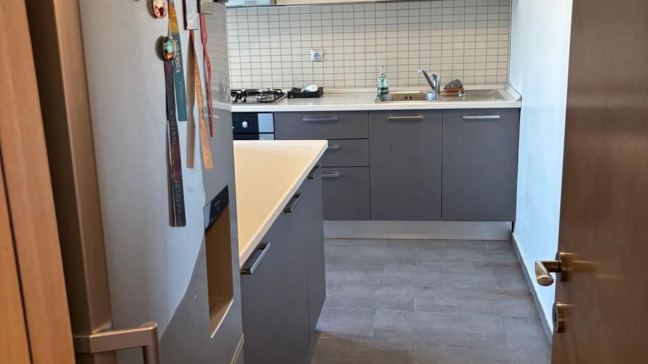 AP 2 CAMERE P-TA UNIRII, PET-FRIENDLY, BUCATARIE INCHISA, MODERN - Poză 8