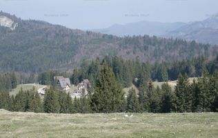 VALEA DOFTANEI - Traisteni, langa Conacul Dascalu, vanzare 2.537 mp. teren