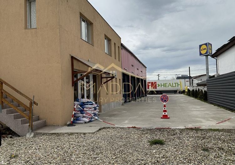 Teren - Oportunitate Business // 1 Decembrie - Poză 4