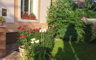 Ag EUROPA vinde casa individuala zona TITULESCU - Poză 2