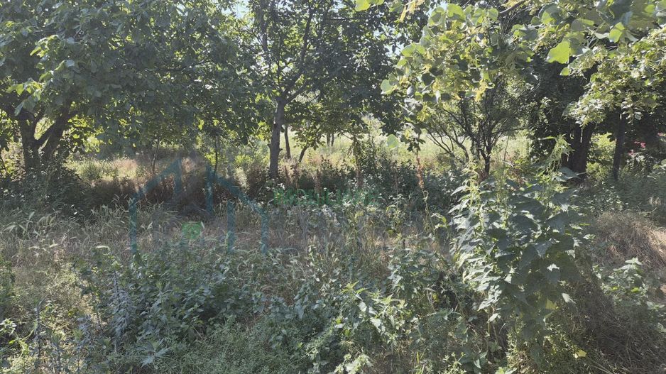 Teren intravilan pentru construcții locuințe, zona Galați, Iași - Poză 2