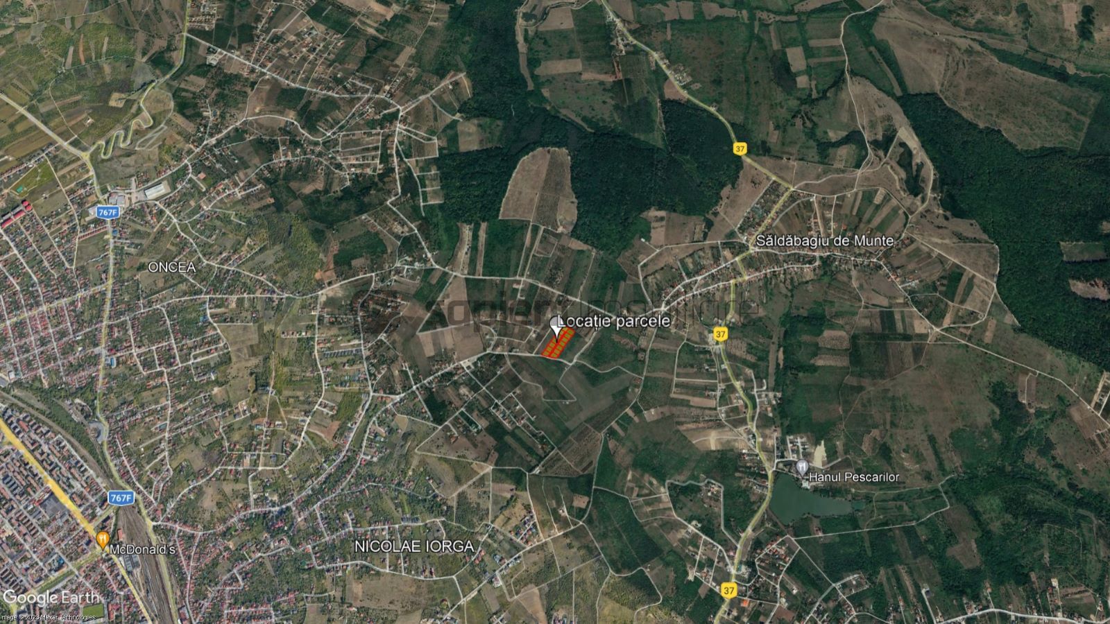 Teren Paleu - Poză 5