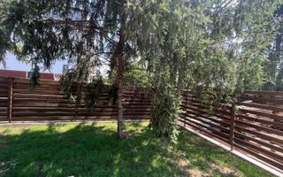 Vilă individuală modernă, P+1+M, cu curte generoasă  Tunari - Poză 6
