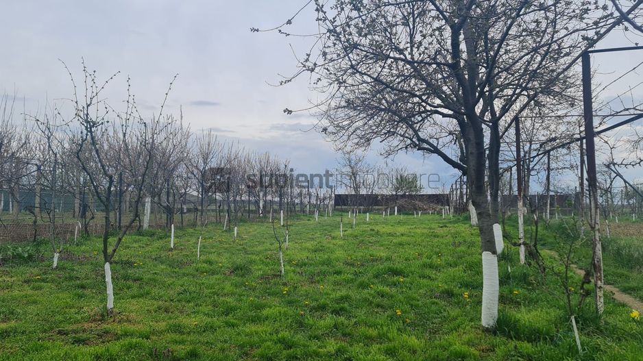Sapient | Casa zona Episcopia Bihor - Poză 15