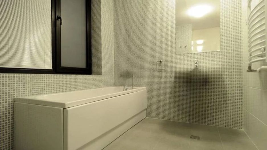 Închiriere apartament | Complex Privighetorilor Băneasa Iancu Nicolae - Poză 5