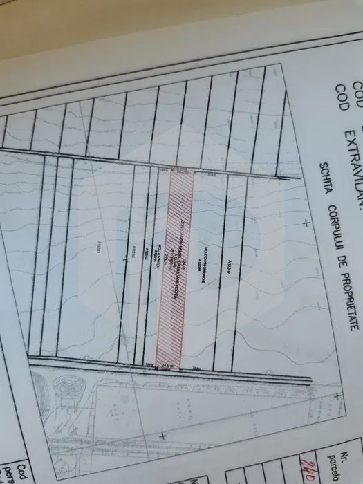 Teren de vanzare - 5500mp - Intravilan - Zona Valetta Park - Poză 4