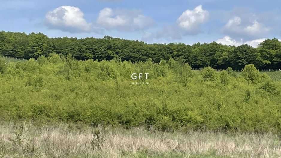 Teren extravilan 10000 mp, Jelna. - Poză 15