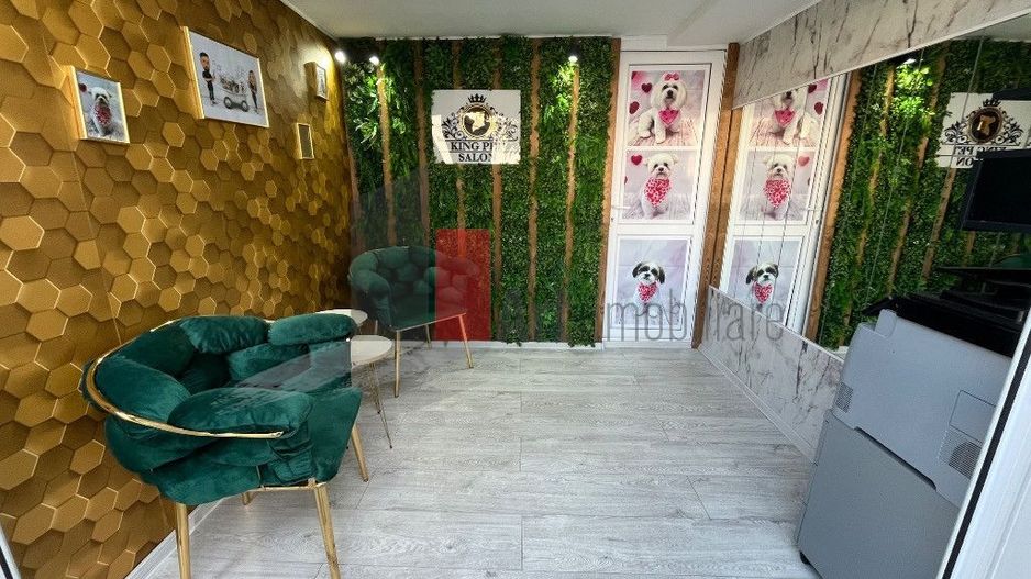 Apartament 3 camere cu terasa si curte +spatiu  comercial+loc parcare in Chiajna - Poză 15