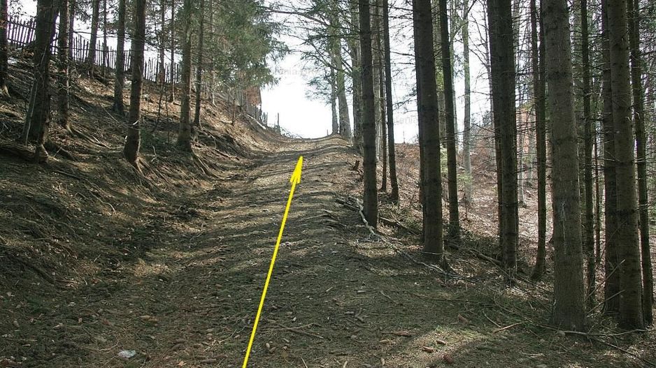 VALEA DOFTANEI - Traisteni, langa Conacul Dascalu, vanzare 2.537 mp. teren - Poză 3