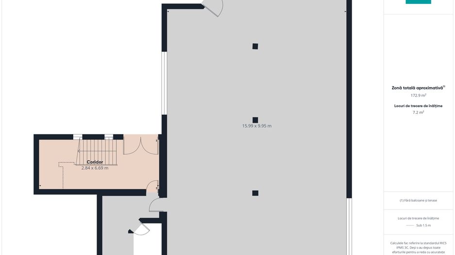 Casa plus spatiu comercial Dudestii Noi - Poză 20