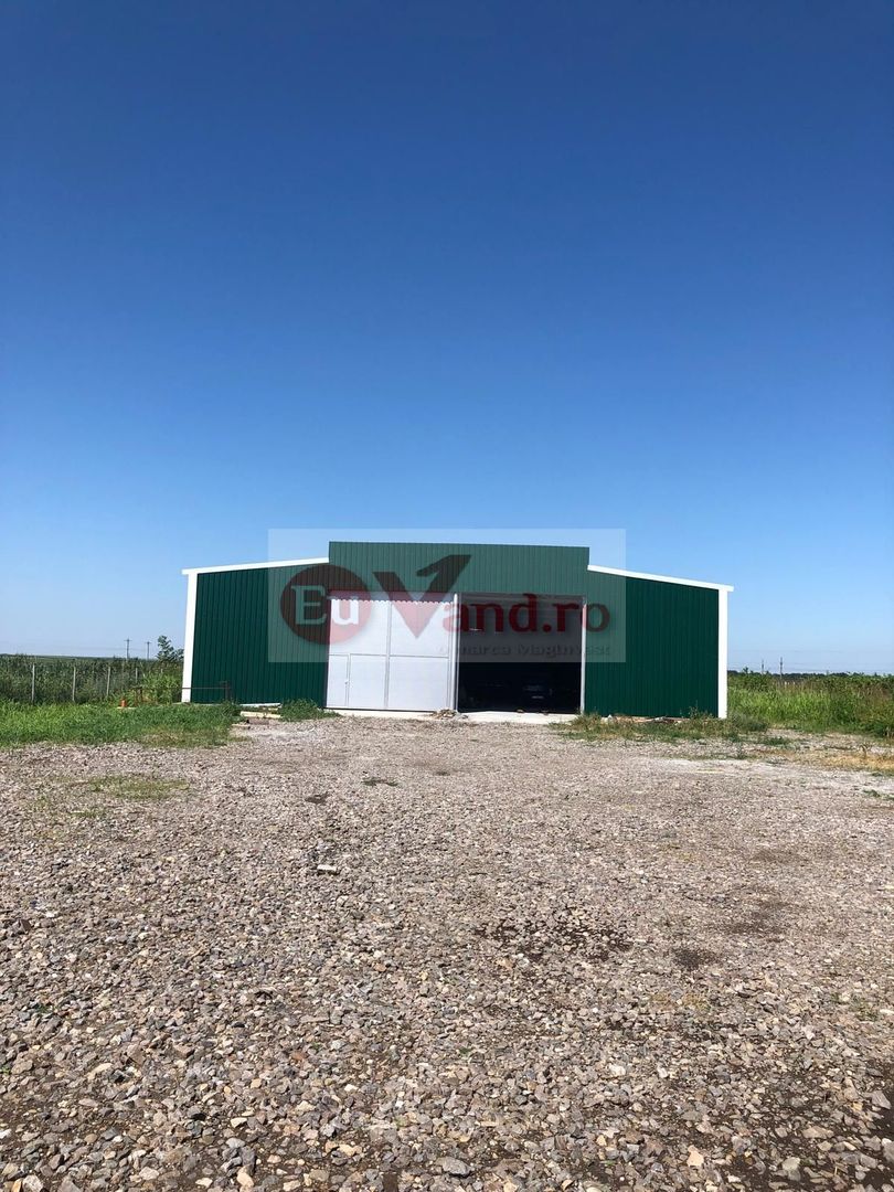 Hala 1.533 mp cu teren 5.000 mp – Vanatori, zona Maylo - Poză 4