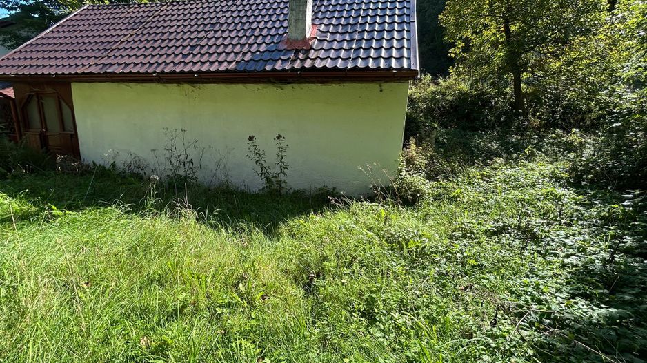 Cabana de vanzare, Valea Manastirii - Ramet - Poză 9