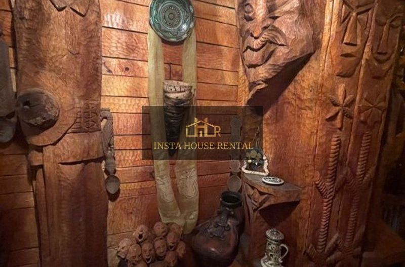 Vila 10 camere Calea Calarasi / Unirii - Poză 23