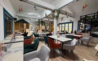 RESTAURANT CU LOC DE JOACA | AFACERE LA CHEIE | BD. 1 MAI – COMUNA BER - Poză 7