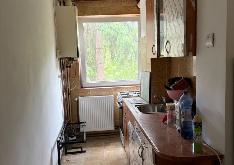 Dâmbu – Apartament 3 camere, etaj 2/4, balcon - Poză 8