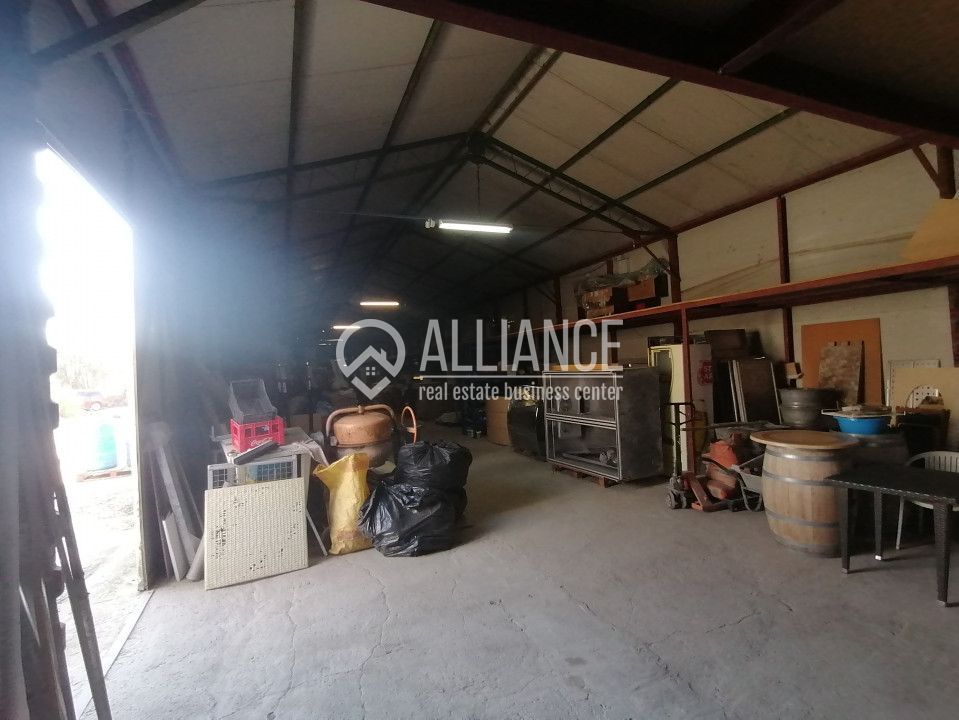 DELFINARIU (COD10) - Spatiu productie/Hala/ Depozit de inchiriat - Poză 3