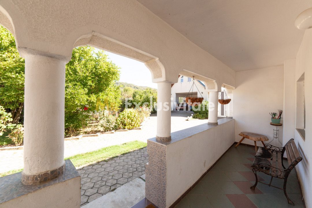Casa visurilor cu 4000 mp livada roditoare si gradina Darmanesti-Arges - Poză 11