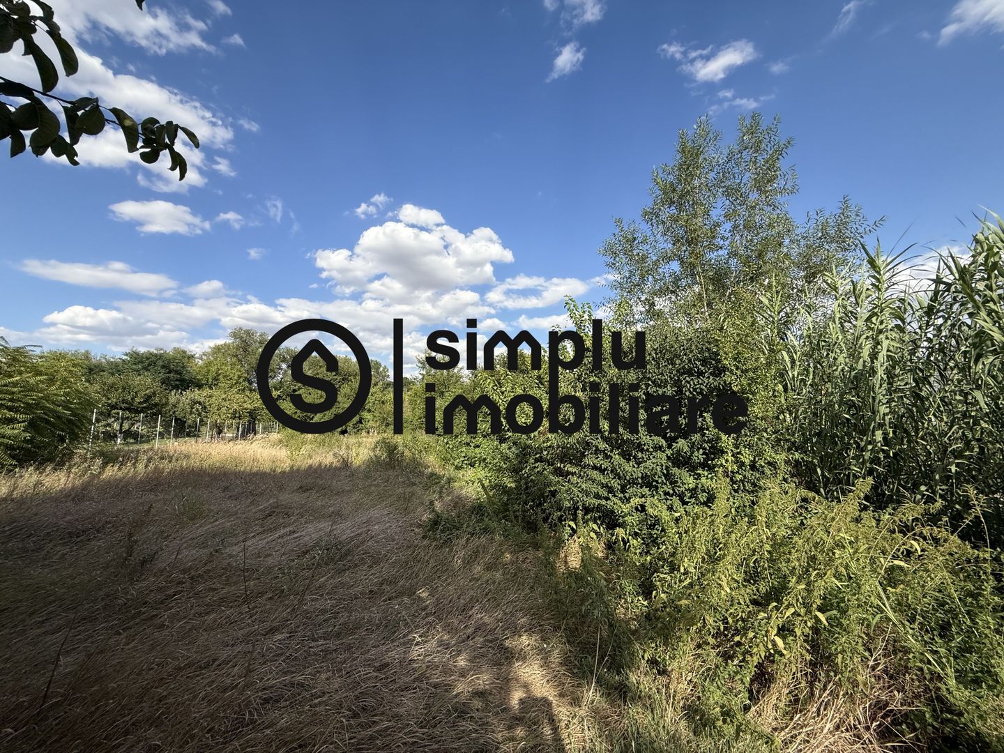 Casa + Teren 1676 Strada Principala Malul Mare - Poză 5