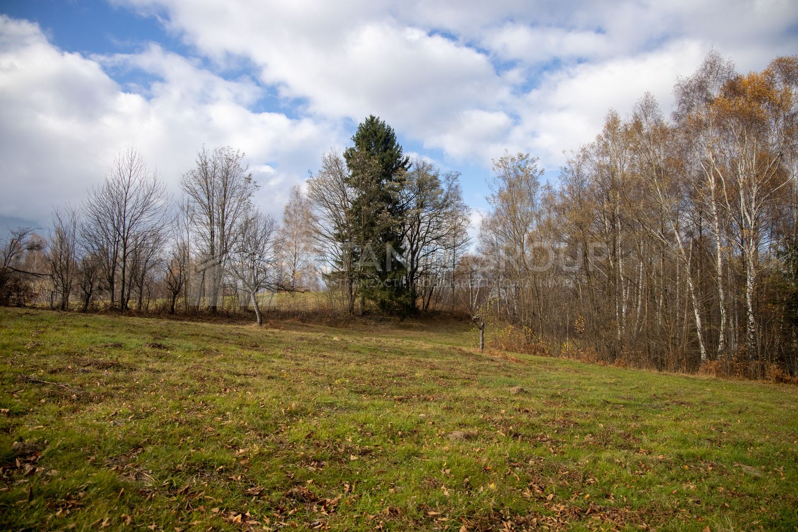 Teren intravilan, cu PUZ, Bran Tohanita,  SE ACCEPTĂ ȘI SCHIMB - Poză 3