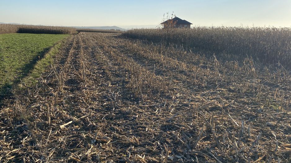 Teren Frătăuții Vechi | 14 Ari | 25.000 EUR - Poză 3