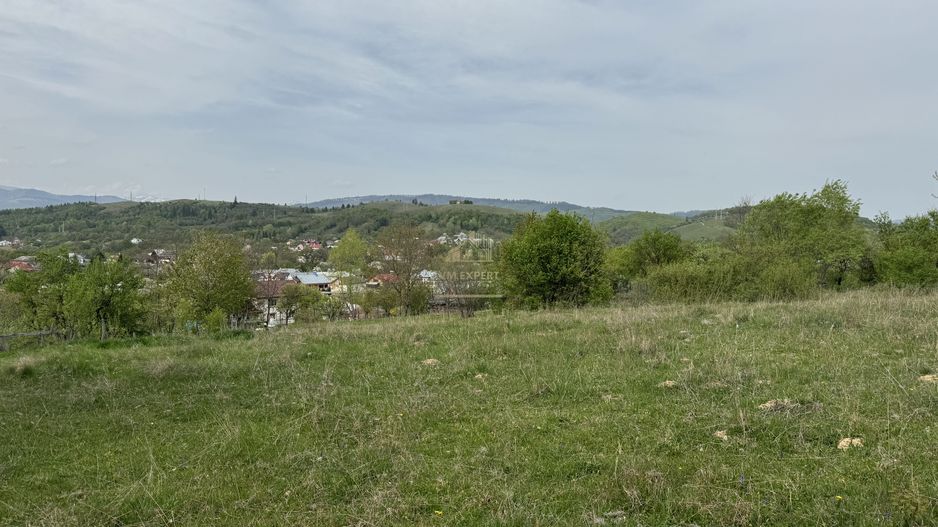 TEREN INTRAVILAN, 7472 MP, VALEA MARE PRAVAT, ARGES - Poză 16