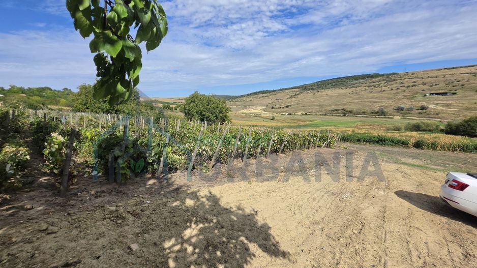 Teren extravilan parcelabil de 9.300 mp în Dorobanți/Aroneanu, aproape de Baza Nautică - Poză 8