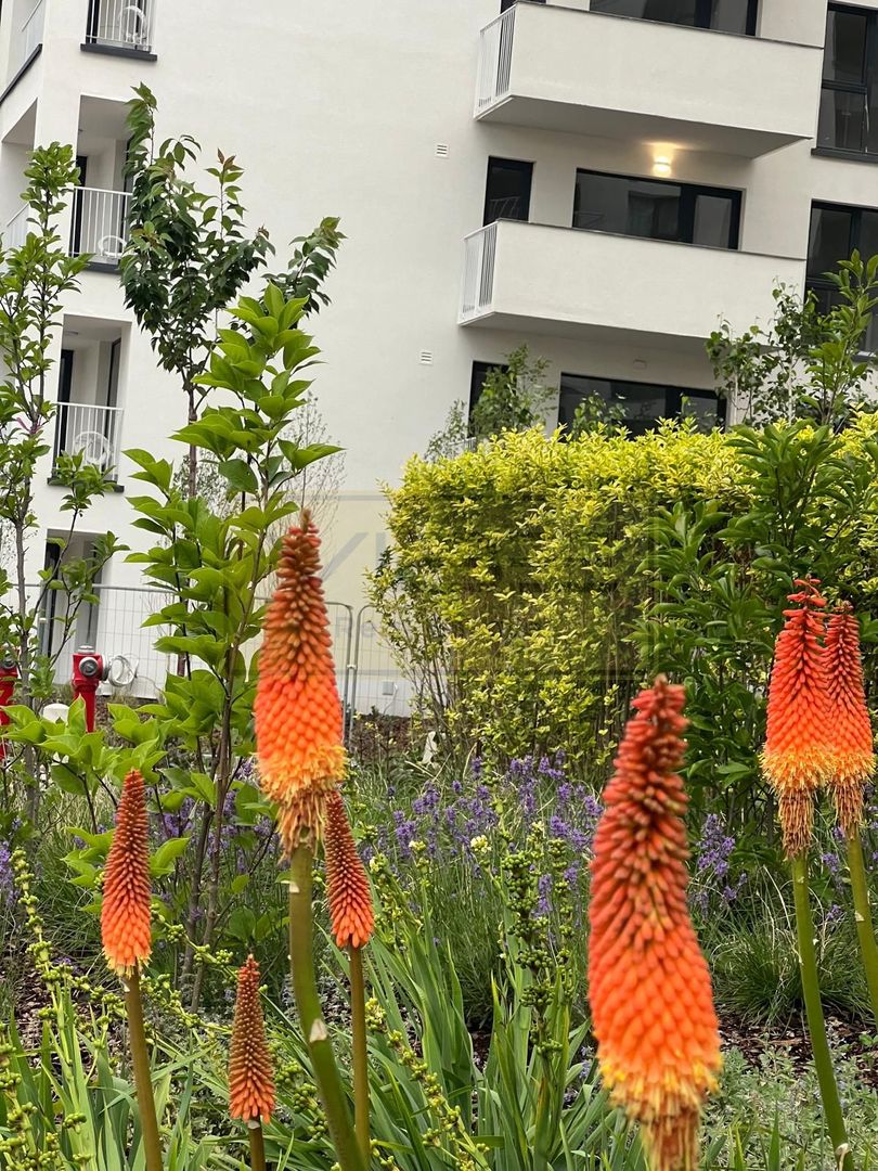 Apartament 3 camere premium  Silk District - Poză 25