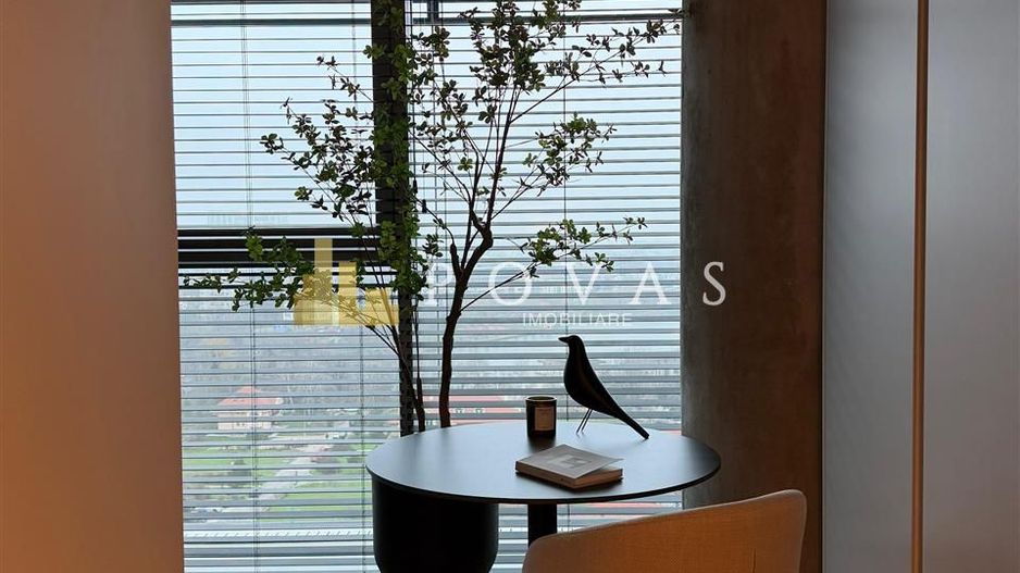 Inchiriere Apartament 3 Camere Up Site Floreasca Promenada - Poză 25