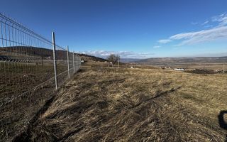 Oportunitate investiție 1153mp Tarnița - Micești - Poză 5