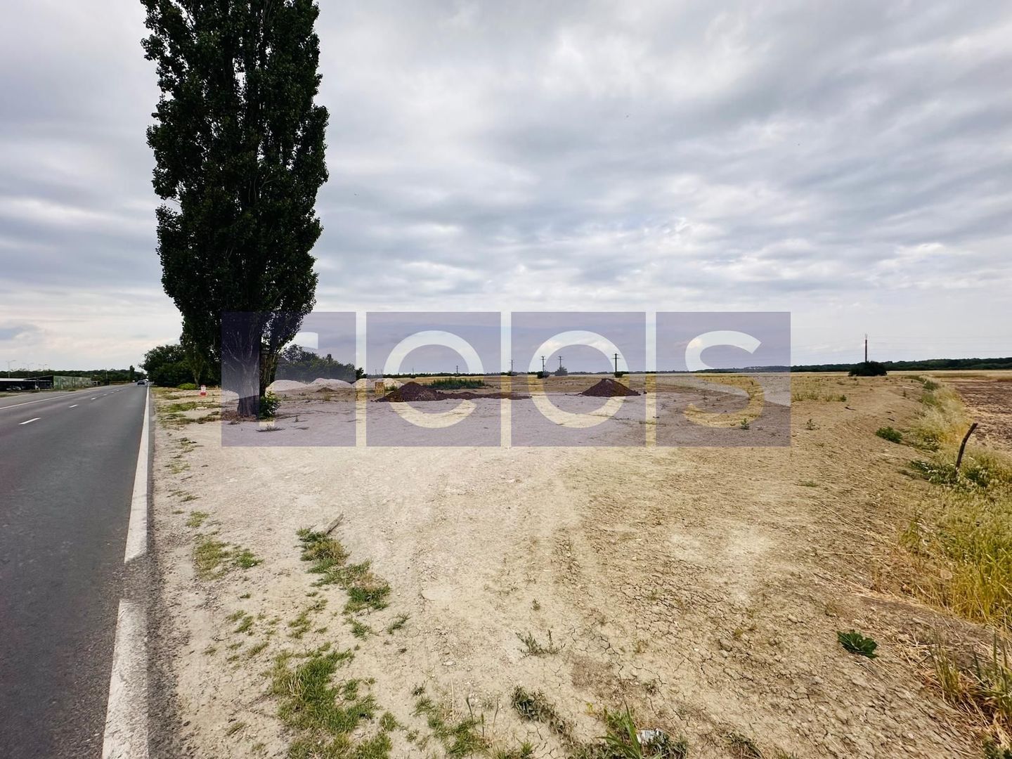 TEREN DE VANZARE CREVEDIA-COCANI 10.000 MP DESCHIDERE 70 - Poză 5